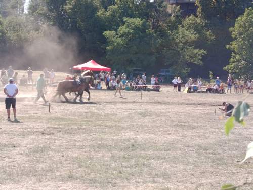 IMG_20260808_153814